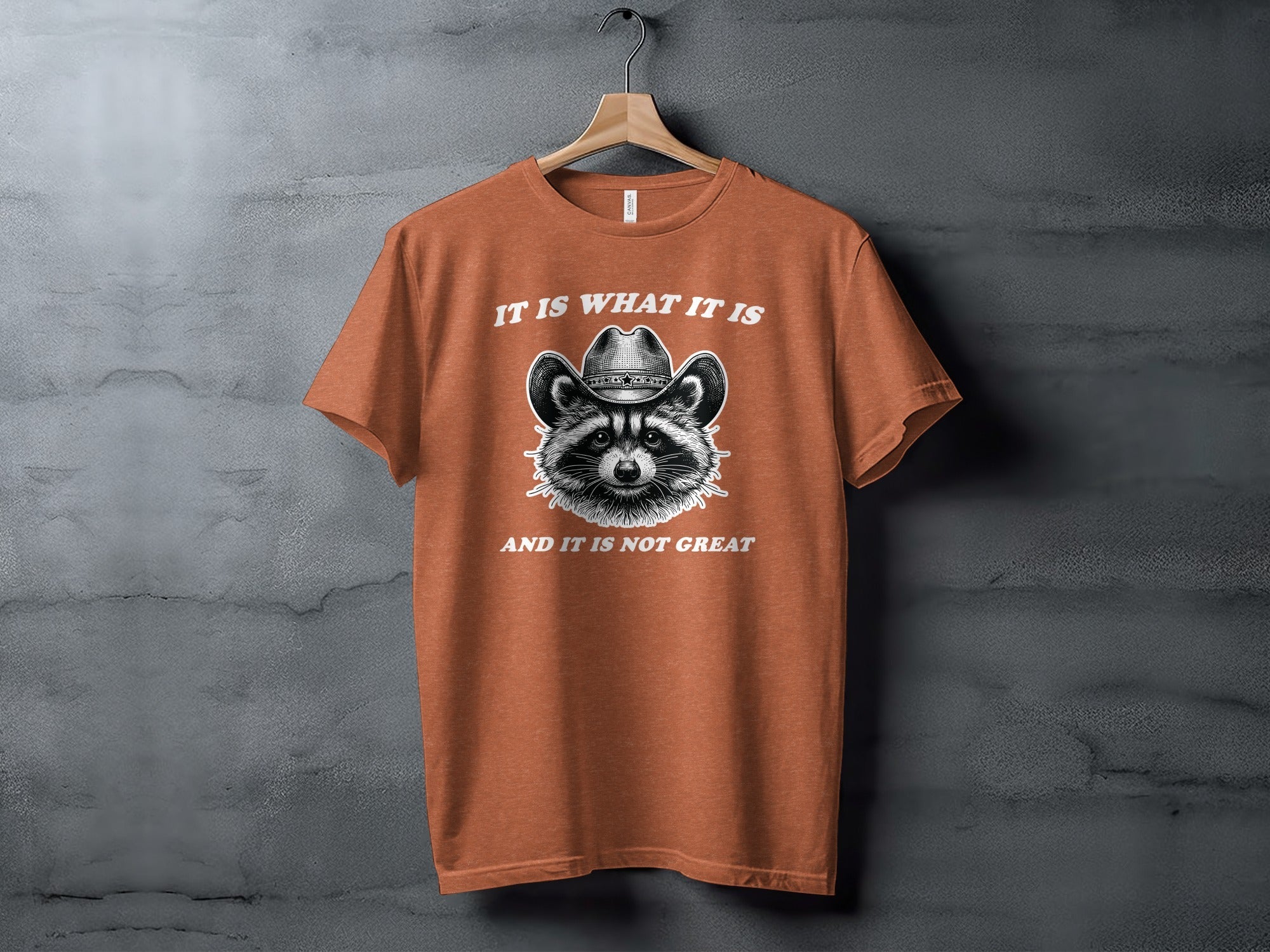 Bandit Cowboy Raccoon Graphic Animal Fashion Western T-Shirt